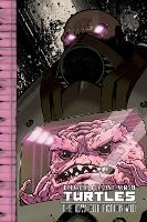 Teenage Mutant Ninja Turtles 10: The Idw Collection